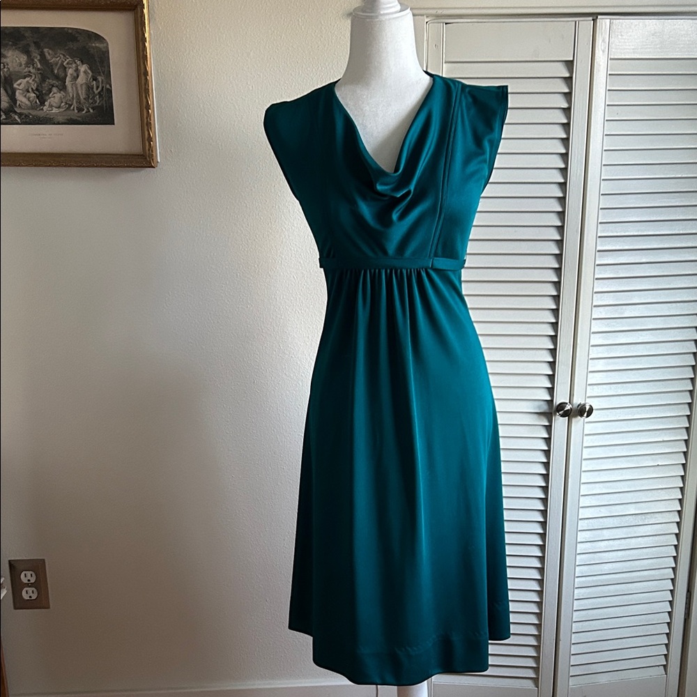 Vintage empire waist dress